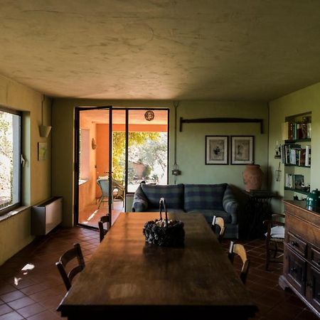 Studio/Flat Rustic Tuscan Marziani 2 Capannori Eksteriør bilde