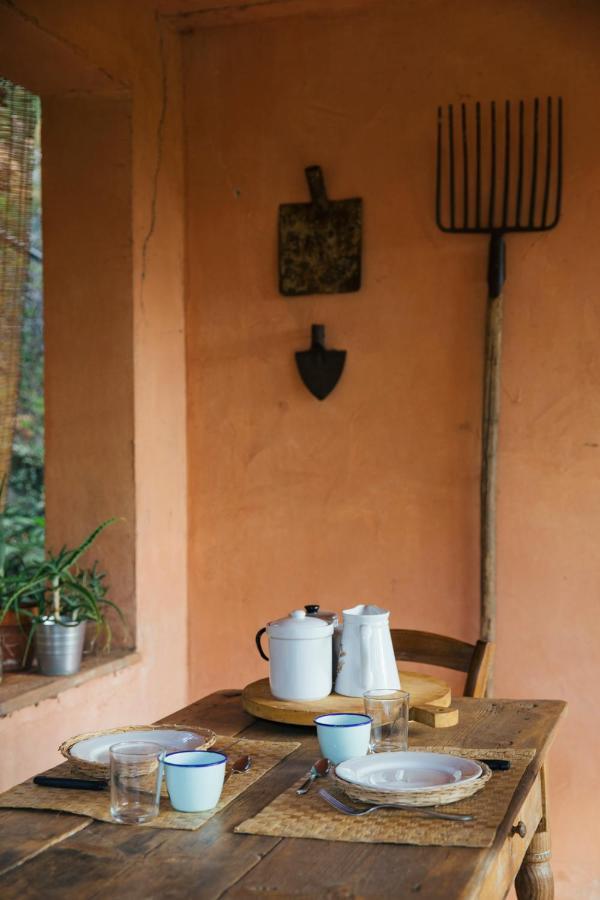 Studio/Flat Rustic Tuscan Marziani 2 Capannori Eksteriør bilde